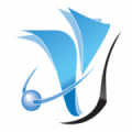 System Force IT logo
